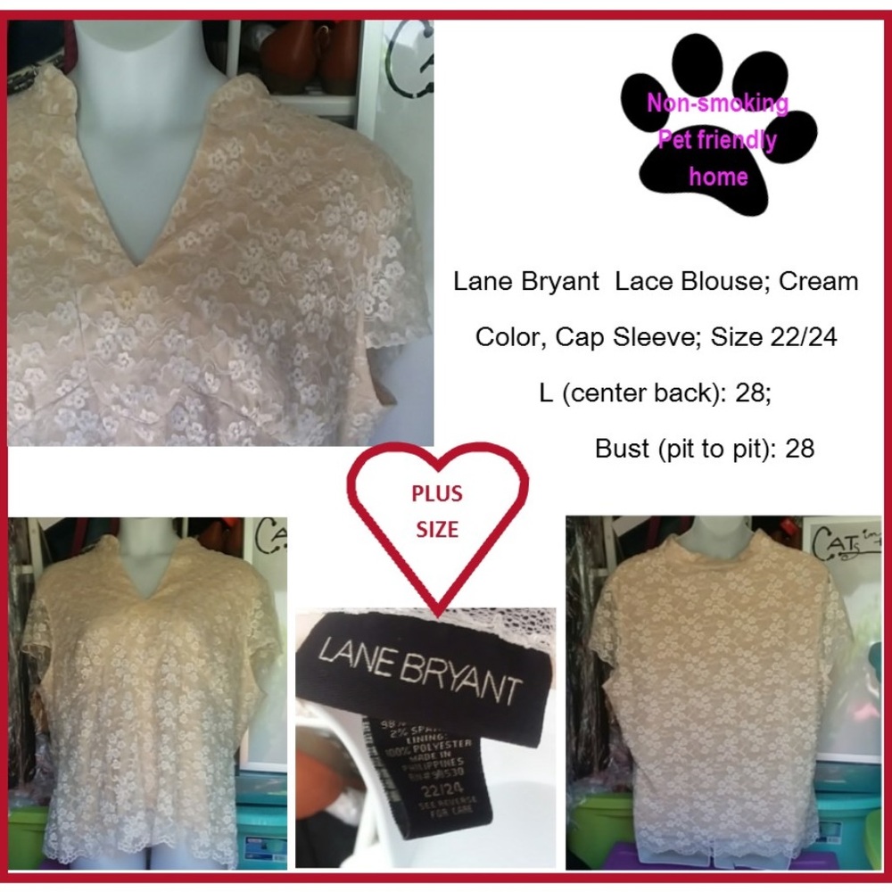 Cream Lace Blouse - 22/24